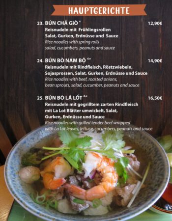 leckere billige asiatische Speisen in Mannheim (9)